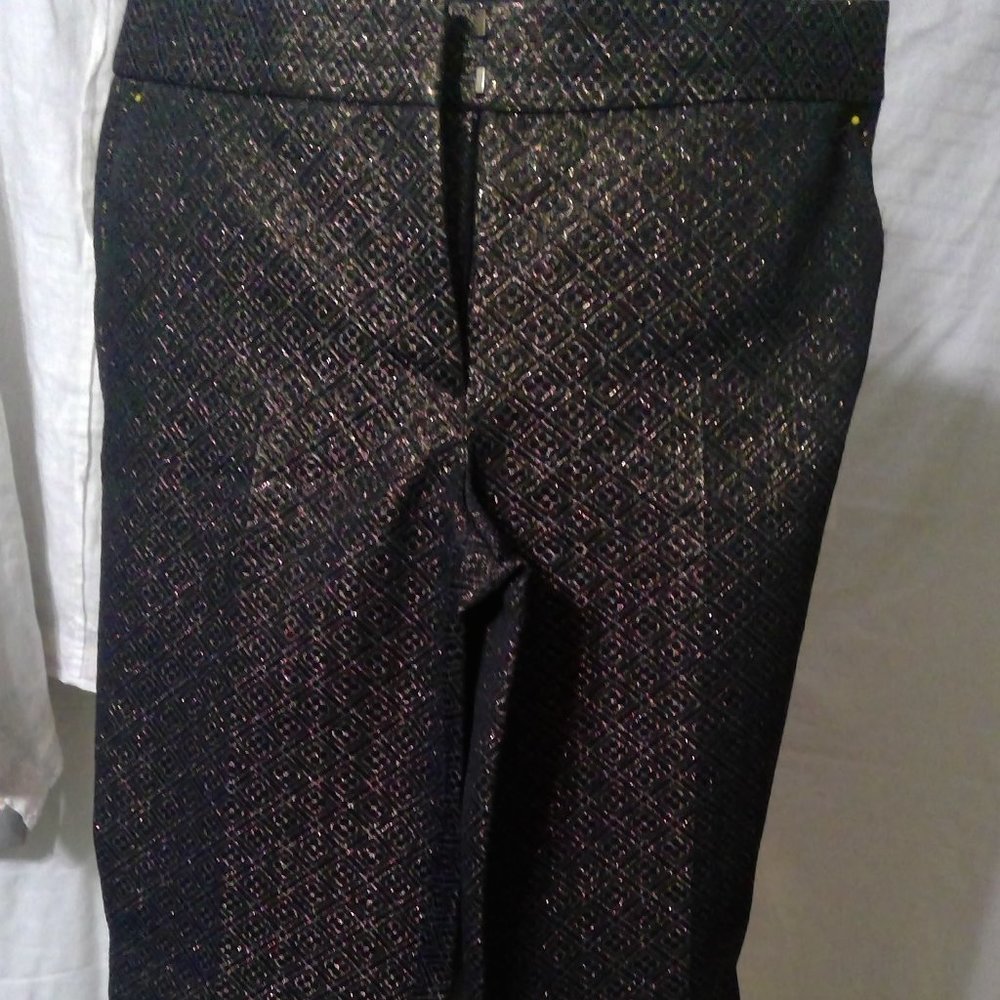 Ann Taylor LOFT Marisa Style Pants Size 10